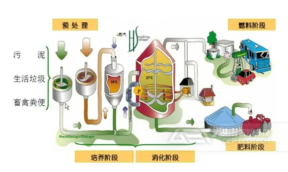 生物處理技術(shù)